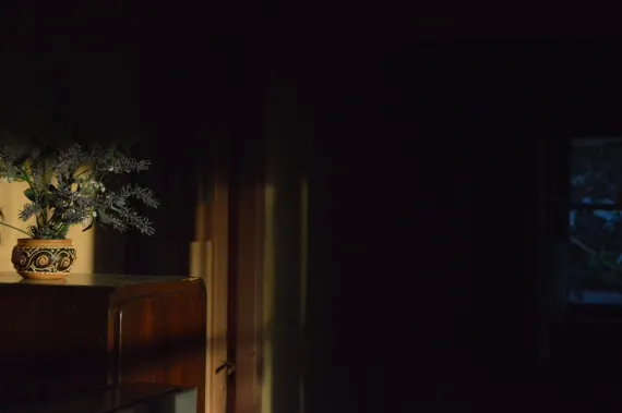 Trada Cazino Cazinou Suport